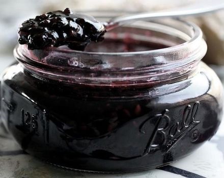 Uma receita simples para preparar groselhas para o inverno sem açúcar em seu próprio suco