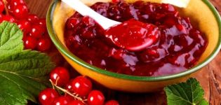 3 најбоља рецепта за пекмез од рибизле Пиатиминутка за зиму