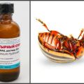 How to use ammonia against the Colorado potato beetle on potatoes