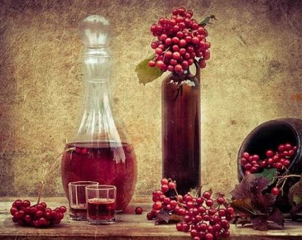 TOP 8 einfache Rezepte für die Herstellung von Ebereschenwein zu Hause