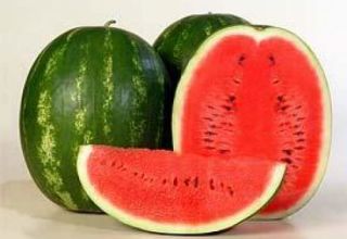Descrição e características da variedade de melancia Karistan, rendimento e cultivo