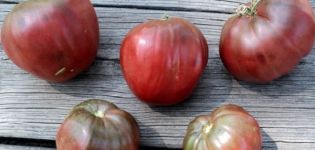 Опис сорте парадајза Црно срце Бреде, карактеристике гајења и неге