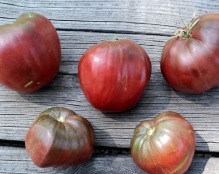 Description of the tomato variety Black Heart of Breda, features of cultivation and care