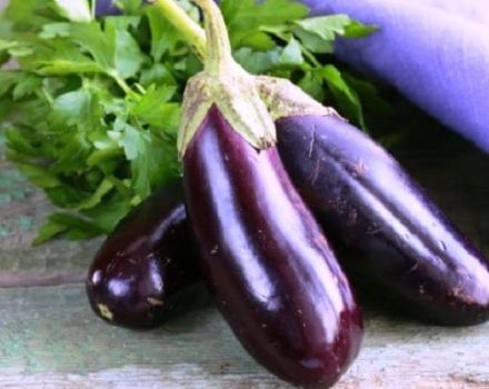 Was Auberginen enthalten: chemische Zusammensetzung und Nährwert