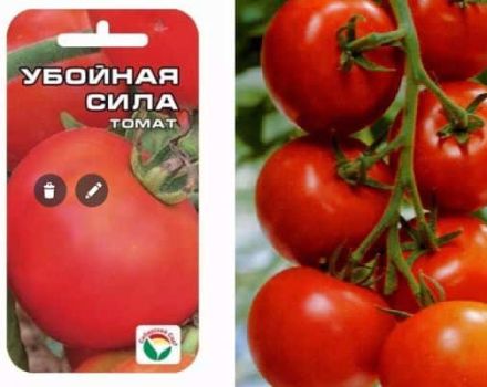 Περιγραφή της ποικιλίας ντομάτας Καταστρεπτική δύναμη, χαρακτηριστικά και απόδοση