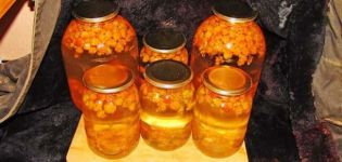 Ein einfaches Rezept für die Herstellung von Moltebeerkompott für den Winter
