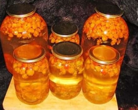 Проста рецепта за приготвяне на компот от къпина за зимата