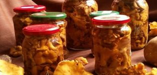 Прости стъпка по стъпка рецепти за приготвяне на мариновани лисички за зимата у дома