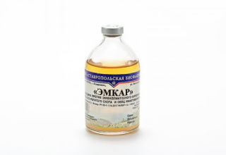 Instructions for the use of vaccine against emkar in cattle and its contraindications