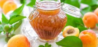 A simple recipe for making apricot jam at home for the winter