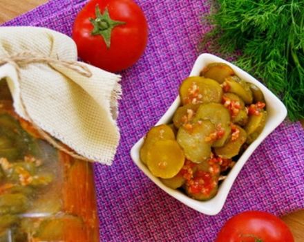 Rezepte von leicht gesalzenen und eingelegten Gurken auf Georgisch für den Winter