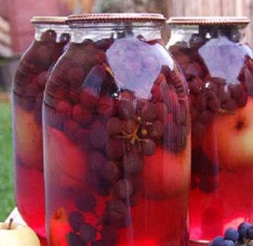 Ett enkelt recept för äpple- och druvkomott för vintern
