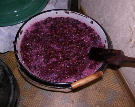Paprastas žingsnis po žingsnio receptas, kaip namuose pasigaminti šviežio vynuogių vyno