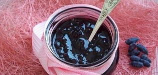 Le migliori e interessanti ricette per realizzare spazi vuoti di caprifoglio per l'inverno