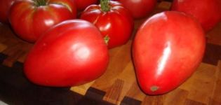 Eigenschaften und Beschreibung der Mazarin-Tomatensorte, deren Ertrag