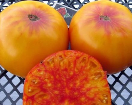 Beschreibung und Anbau der Tomatensorte Virginia Candy
