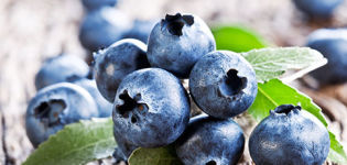 Was kann man aus Blaubeeren für den Winter machen, wie man einfriert und lagert, Rezepte