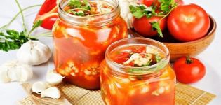 Step-by-step recipes for cooking vegetables in tomato juice for the winter