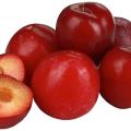 Beskrivelse og karakteristika for blommesorten Red Ball, plantning og pleje