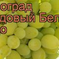 Описание и характеристики, произходът на сорта грозде Бяло чудо и правилата на отглеждане