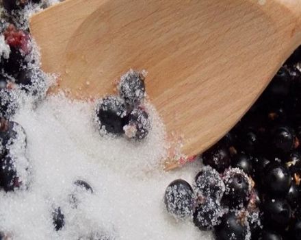 A step-by-step recipe for currant jam in a pan for the winter