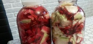 7 best sauerkraut recipes with beets