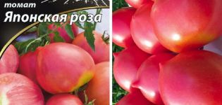 Opis odrody paradajky japonskej ruže a jej vlastnosti