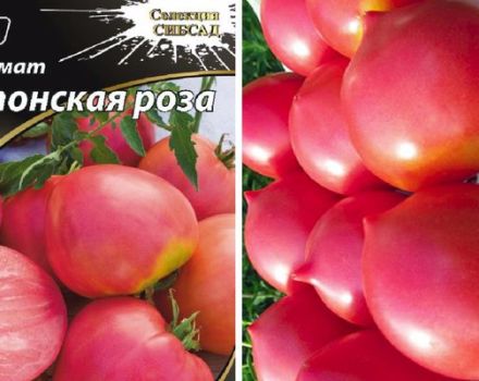 Description of the variety of tomato Japanese rose and its characteristics
