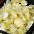 Comment congeler des pommes de terre au congélateur à la maison et est-ce possible