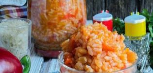 12 krok-za-krokem recepty pro výrobu zimní svačinu s rýží doma