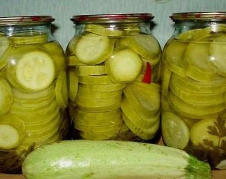 4 geriausi marinuoti cukinijų receptai kaip agurkai žiemai