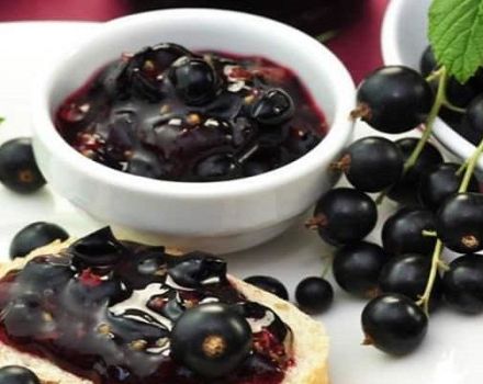 7 melhores receitas para geléia de groselha preta de cinco minutos para o inverno