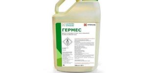 Návod k použití herbicidu Hermes, bezpečnostní opatření a analogy