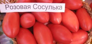 Характеристики и описание на сорта домат Icicle Pink