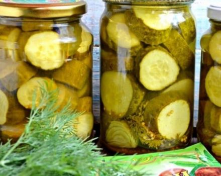 TOP 15 συνταγές για αλάτισμα μεγάλων αγγουριών με τραγανά κομμάτια για το χειμώνα