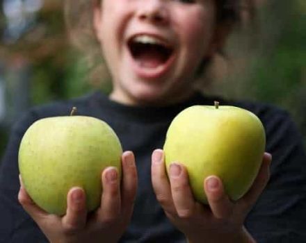 وصف وخصائص تفاح موتسو وزراعة ونمو ورعاية