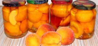 TOP 4 Rezepte, wie einfach es ist, Pfirsiche für den Winter in Sirup einzulegen