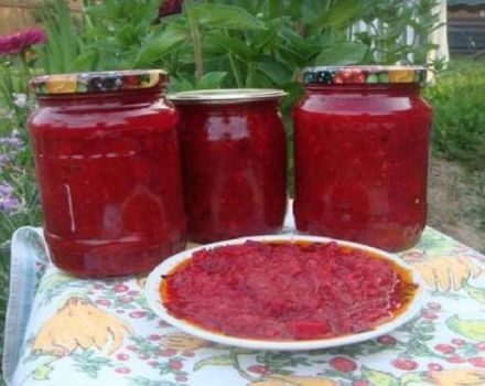 7 best recipes for making beet adjika for the winter