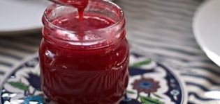 Raudonųjų serbentų padažo gaminimo žiemai receptai