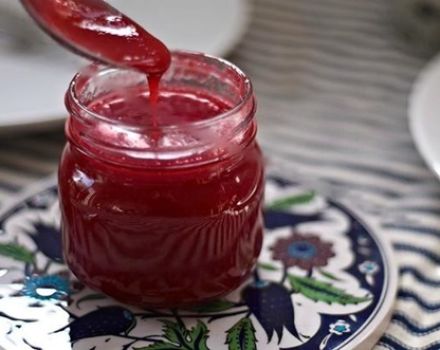 Rezepte für die Zubereitung von roter Johannisbeersauce für den Winter