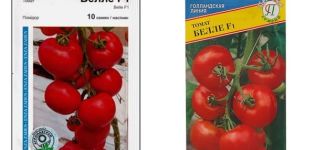 Περιγραφή της ποικιλίας ντομάτας Bell1 f1, των χαρακτηριστικών και της καλλιέργειάς της