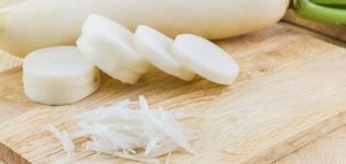 عندما تحتاج إلى حصاد فجل daikon من الحديقة للتخزين لفصل الشتاء