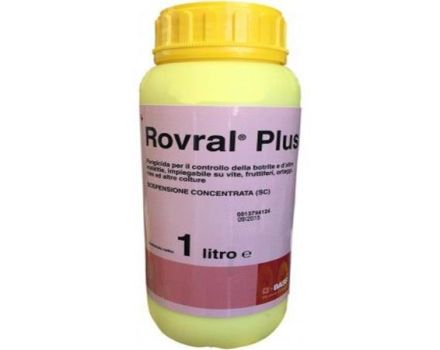 تعليمات لاستخدام مبيد الفطريات Rovral ، تكوين وشكل إطلاق المنتج