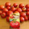 Beschreibung der Tomatensorte Laskovy Misha und ihrer Eigenschaften