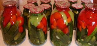 É possível conservar pepinos Zozulya para o inverno e as melhores receitas de salga