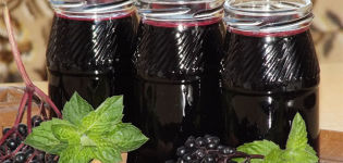 Ein einfaches Rezept für die Herstellung von Apfelbeermarmelade für den Winter