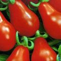 Характеристики и описание на сорта домат Matryoshka, неговият добив