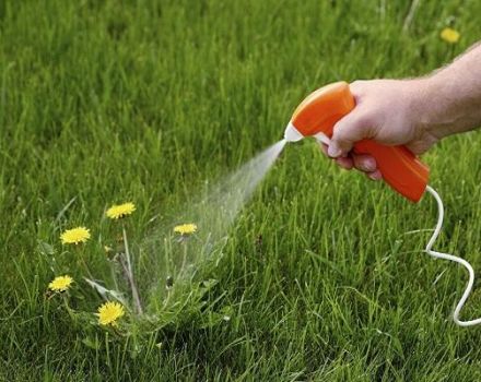 Gebrauchsanweisung des Herbizids Ausgezeichnet gegen Unkraut in den Beeten