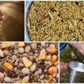 Was Sie brauchen, um eine Ziege zu füttern, um die Milchleistung zu erhöhen, Methoden zu Hause