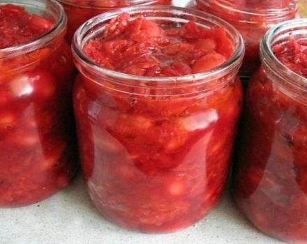 TOP 6 Rezepte für Winter Borscht Dressings mit Bohnen